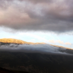 Albanie (48)