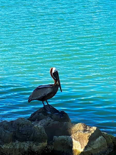 Antigua-Barbuda-35