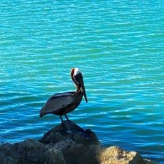 Antigua-Barbuda-35