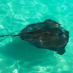 Antigua-Barbuda-9