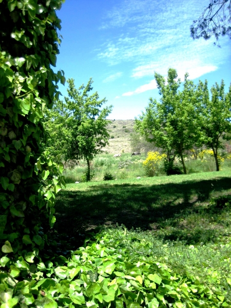 Argentinie (121)