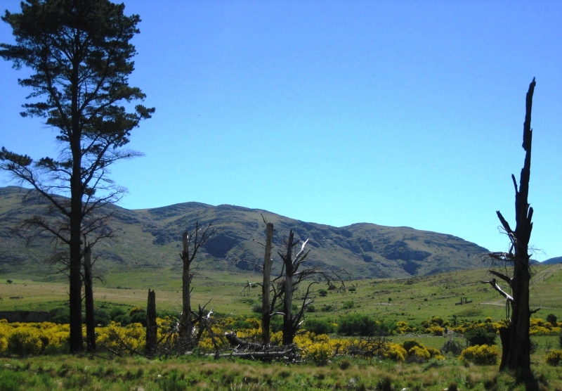 Argentinie (125)