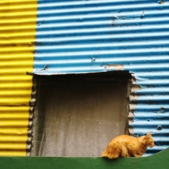 Argentinie (26)