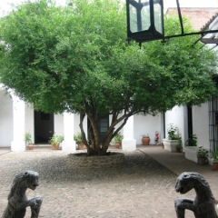 Argentinie (35)