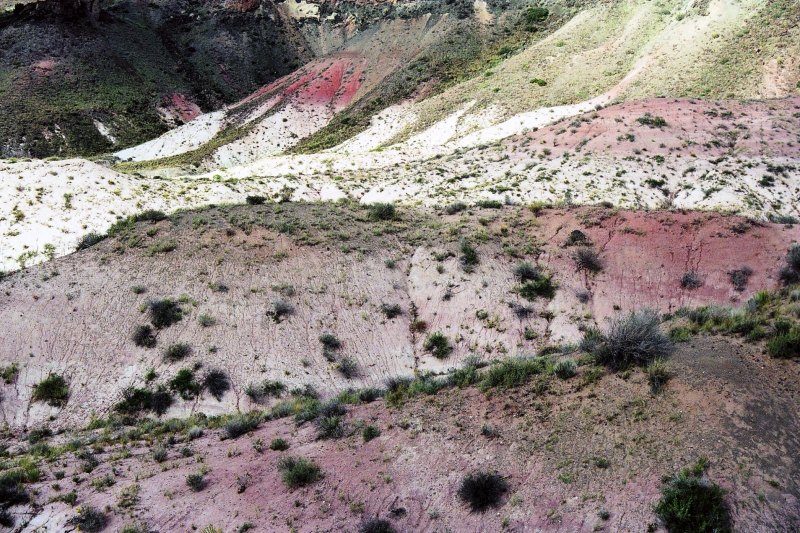 VS - Arizona (34)