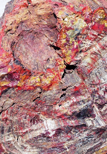 VS - Arizona (37)
