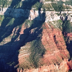 VS - Arizona (12)