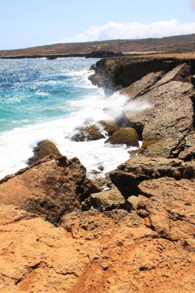 Aruba (67)
