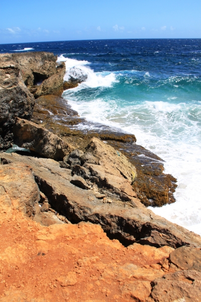 Aruba (68)