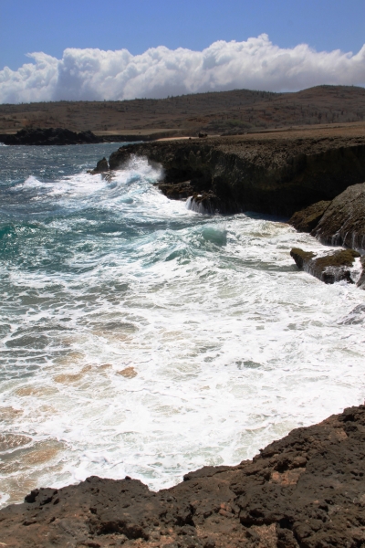 Aruba (69)