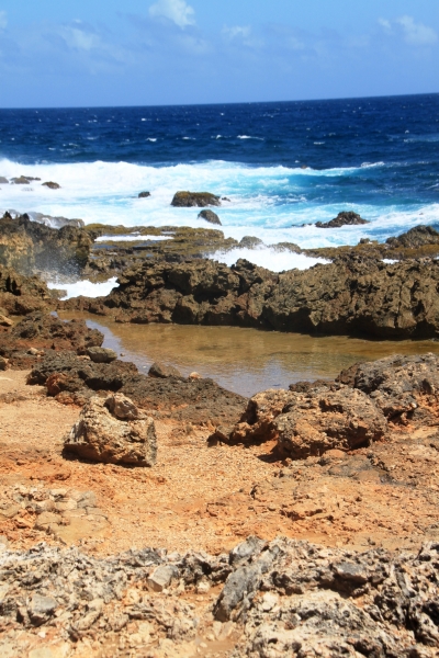 Aruba (71)