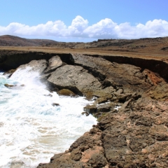 Aruba (56)