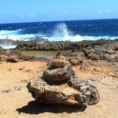 Aruba (58)