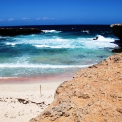 Aruba (61)