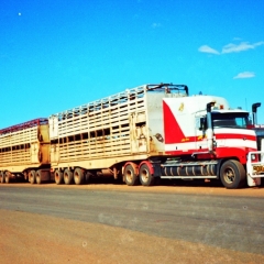 Australie (39)