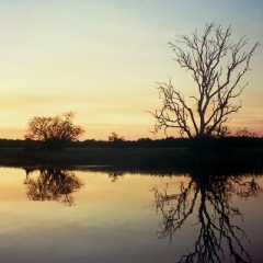 Australie (6)