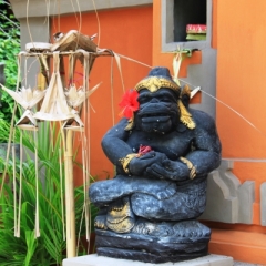 Bali (11)