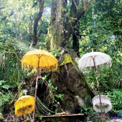 Bali (12)