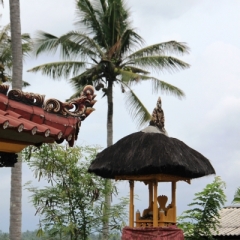 Bali (18)
