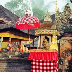 Bali (4)
