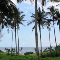 Bali (53)