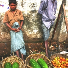 Bangladesh (36)