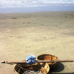 Bangladesh (5)
