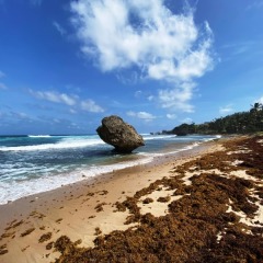 Barbados-1