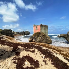 Barbados-10
