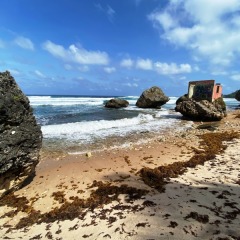 Barbados-15