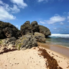 Barbados-17