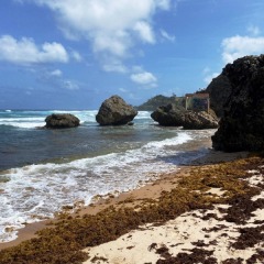 Barbados-18