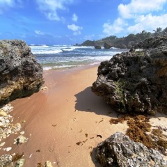 Barbados-19