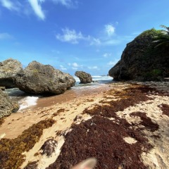 Barbados-23