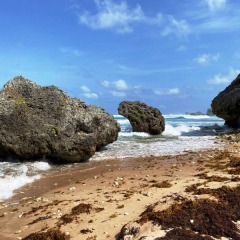 Barbados-24