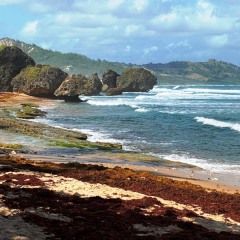 Barbados-27
