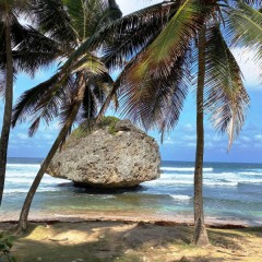 Barbados-30