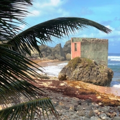 Barbados-32