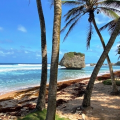 Barbados-35