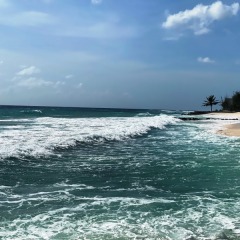 Barbados-39