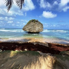 Barbados-5