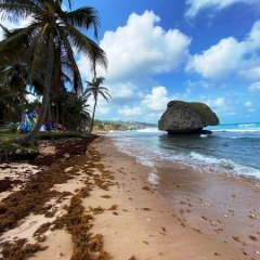 Barbados-7