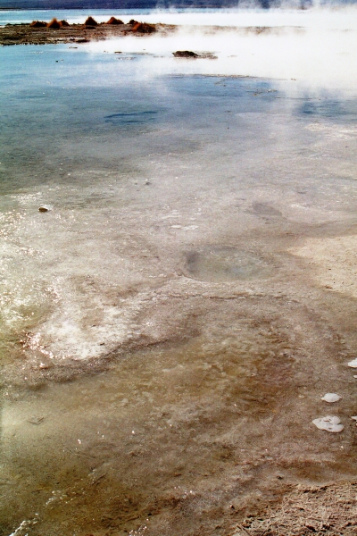 Bolivia (61)