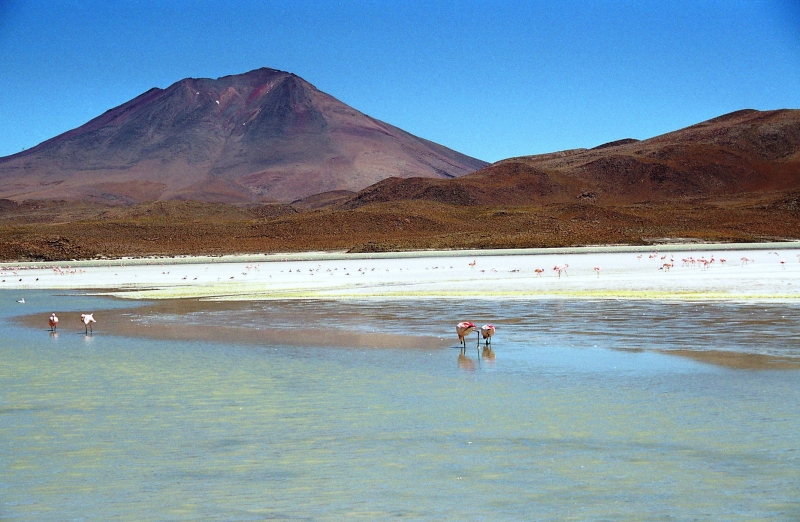 Bolivia (70)