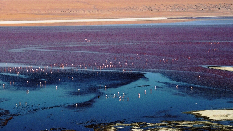 Bolivia (78)