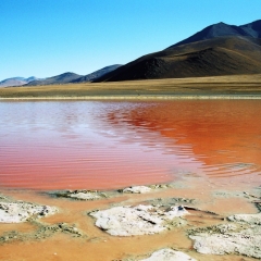 Bolivia (22)