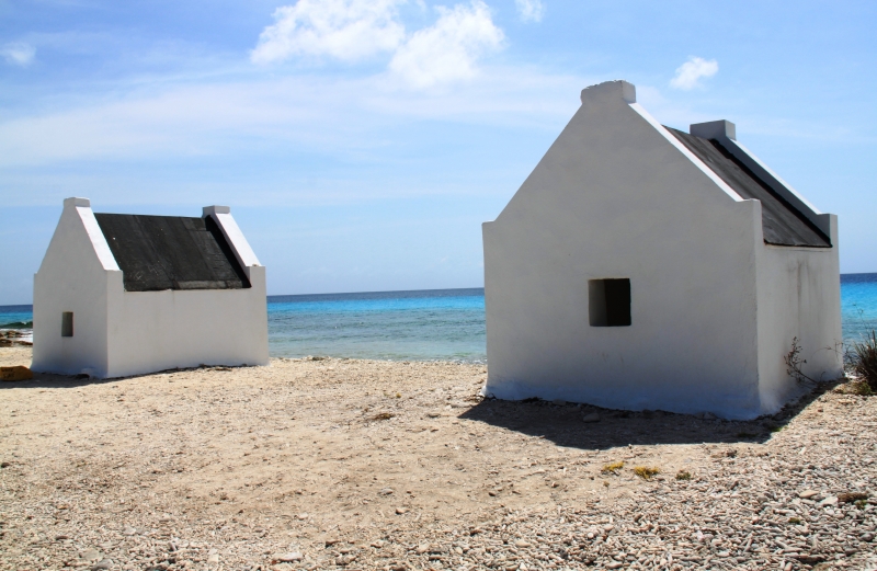 Bonaire (4)