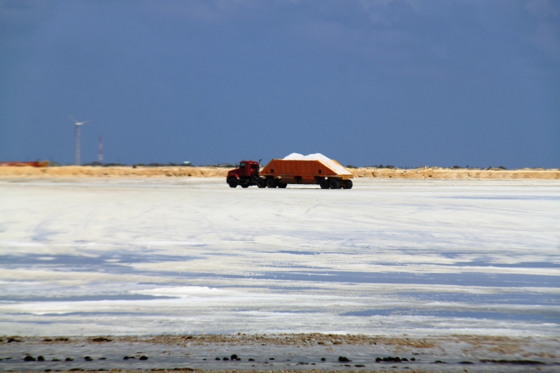 Bonaire (41)