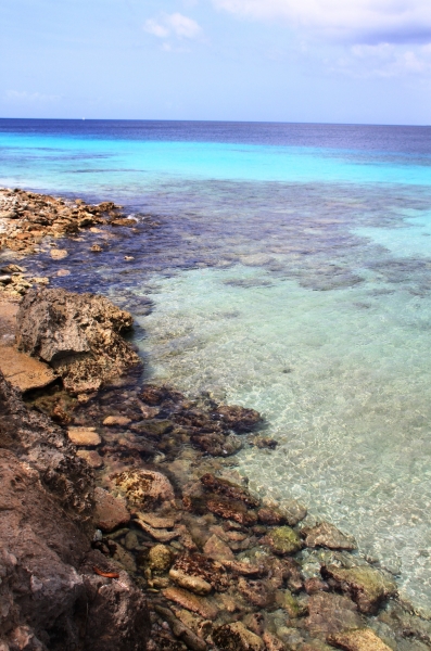 Bonaire (53)