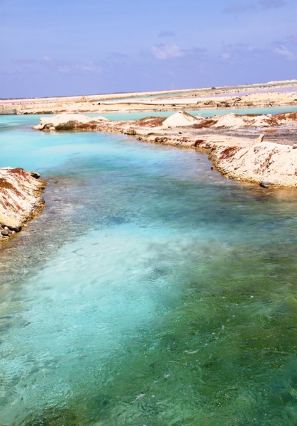 Bonaire (54)